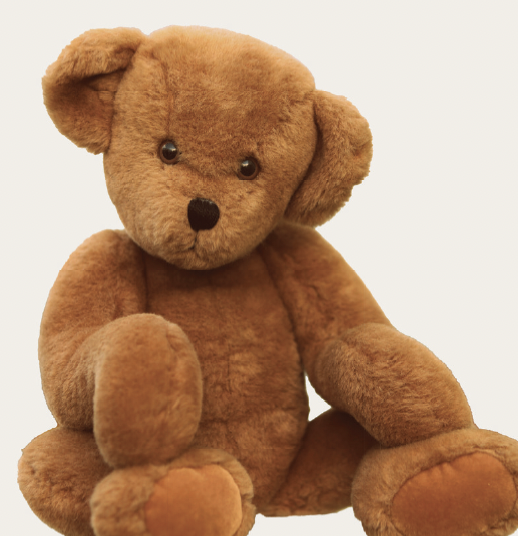 Teaching Toys